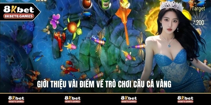 Giới thiệu vài điểm về trò chơi câu cá vàng